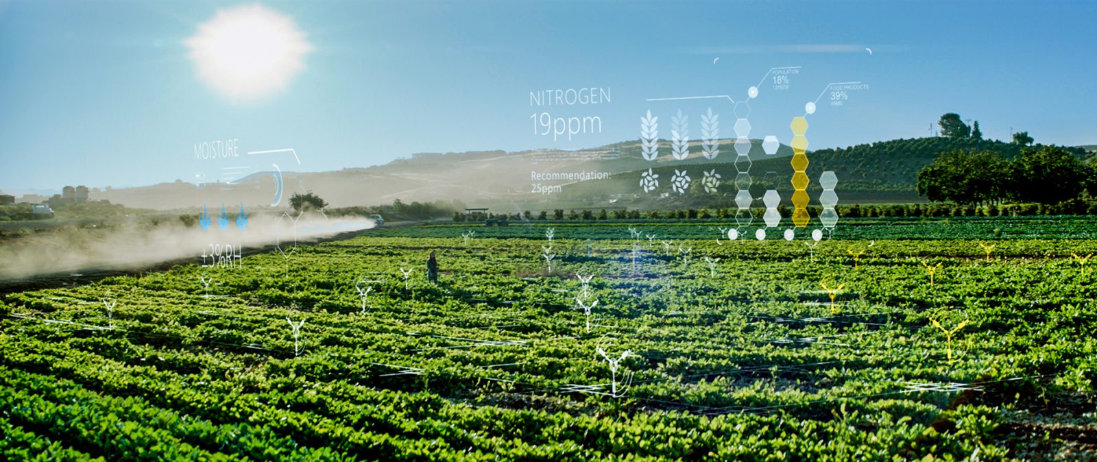 agriculture